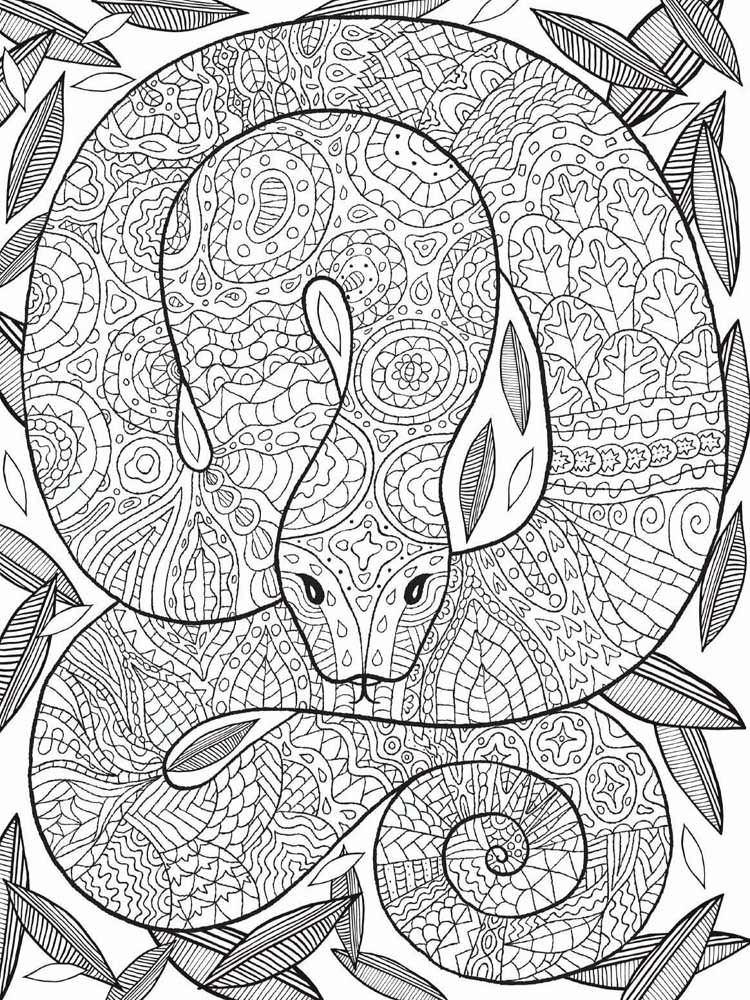 Розмальовки Змії Антистрес - Розмальовки для дорослих 