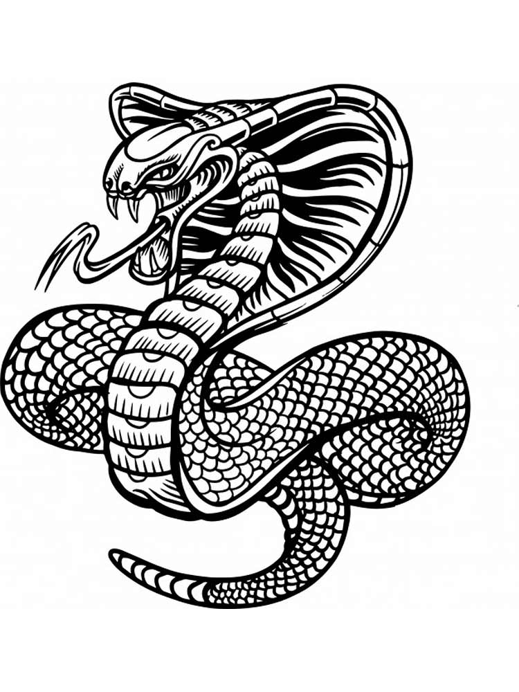 Розмальовки Змії Антистрес - Розмальовки для дорослих 