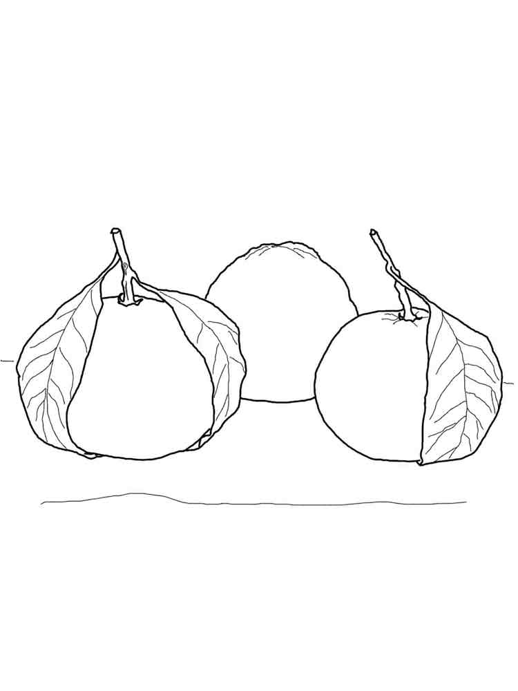 Розмальовка Мандарин - Овочі та фрукти 