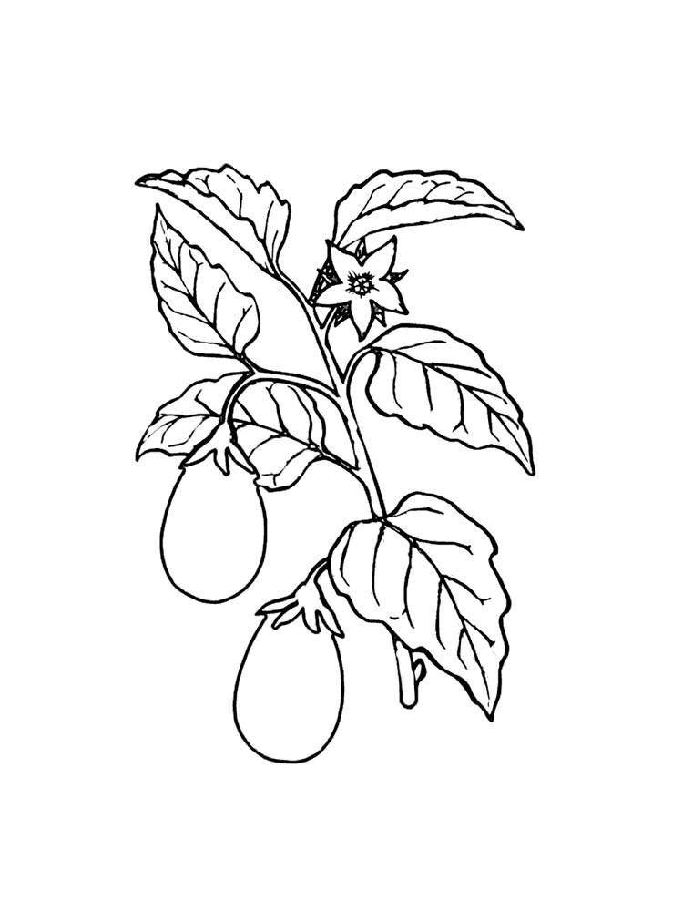 Розмальовка Баклажан - Овочі та фрукти 