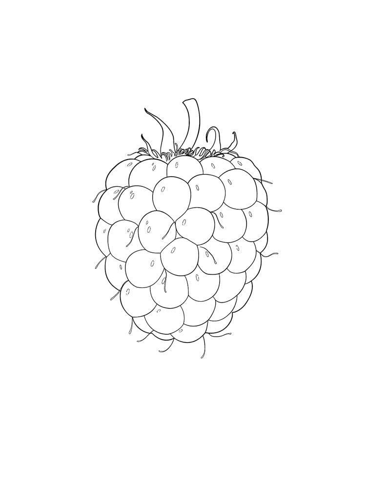 Розмальовка Малина - Овочі та фрукти 