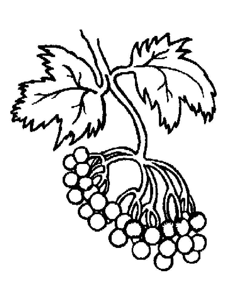 Розмальовки Каліна - Овочі та фрукти 