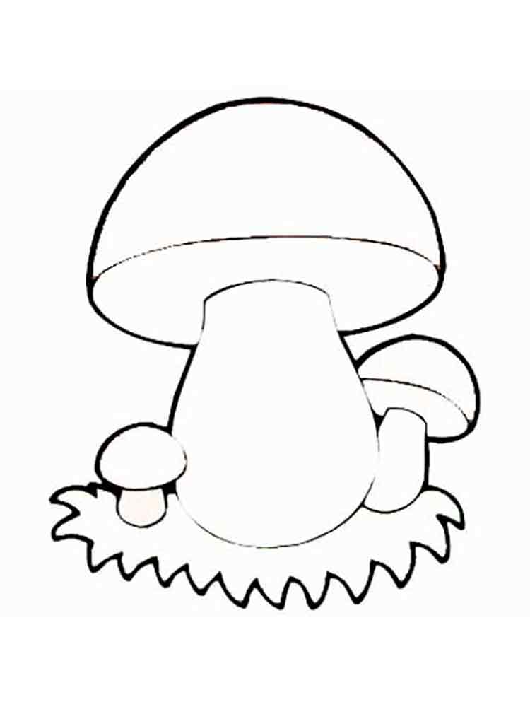 Розмальовки Білий гриб - Розмальовки Природа 