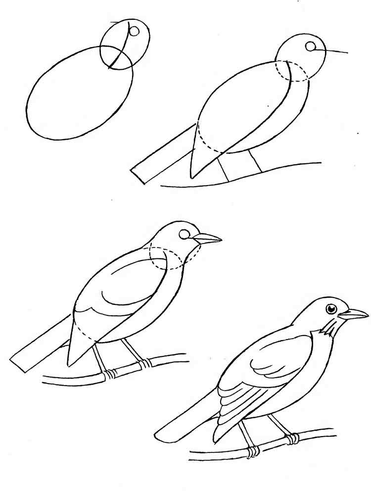 Розмальовка Дрозд - Розмальовки Птахи 
