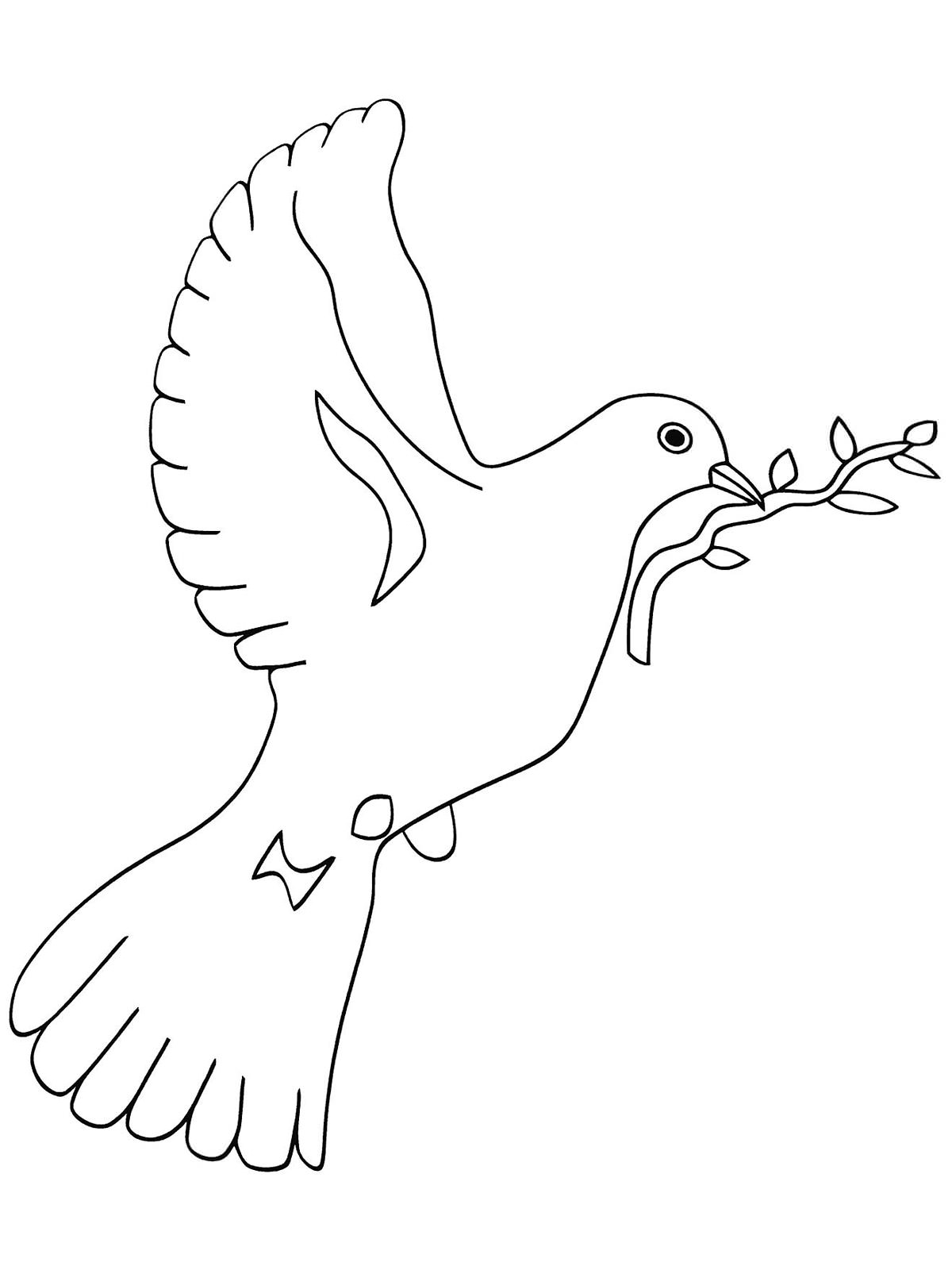 Розмальовка Голуб - Розмальовки Птахи 