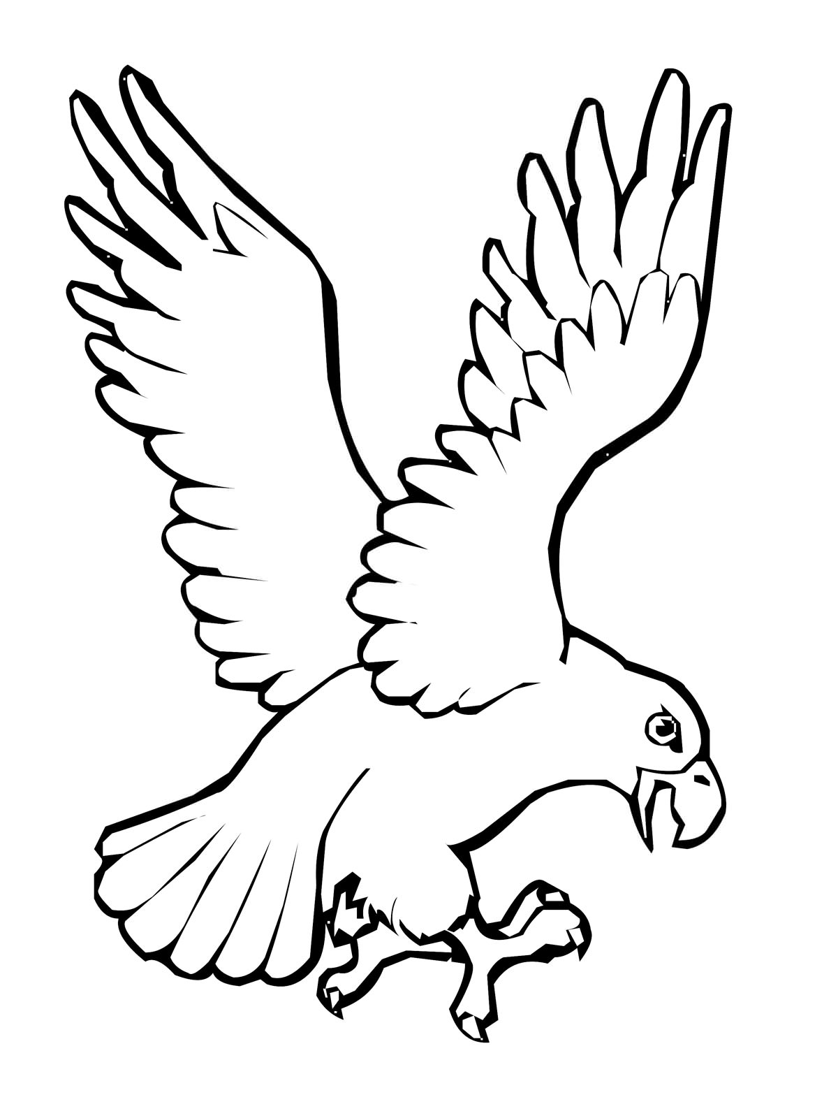 Розмальовка Орел - Розмальовки Птахи 