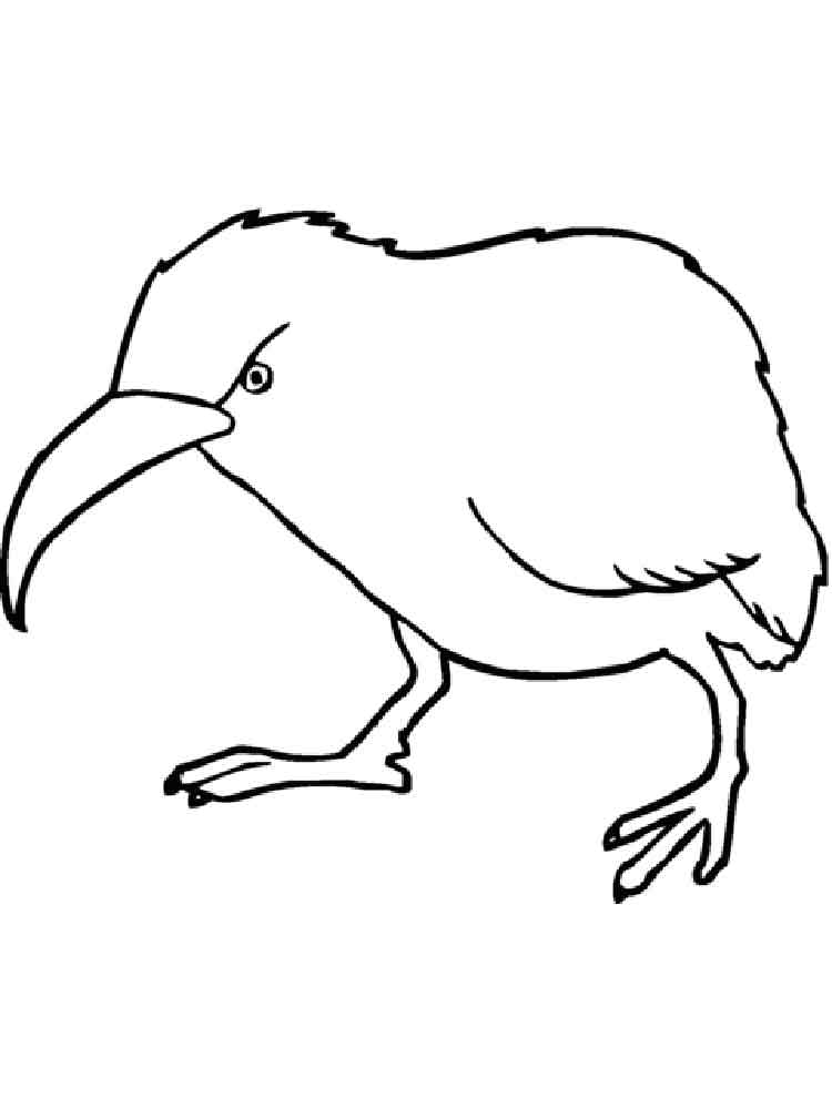 Розмальовка птах Ківі - Розмальовки Птахи 