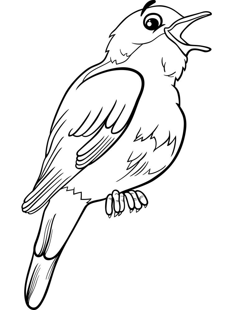 Розмальовки Соловей - Розмальовки Птахи 