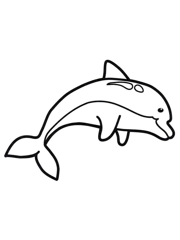 Розмальовка Дельфін - Розмальовки Риби 