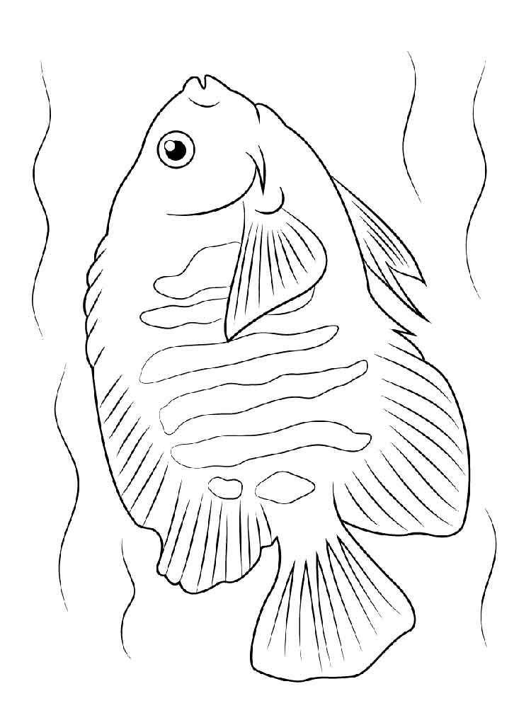 Розмальовка риба Ангел - Розмальовки Риби 