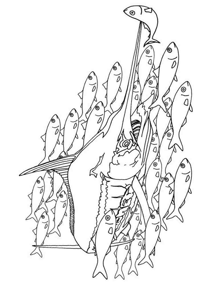 Розмальовка риба Меч - Розмальовки Риби 