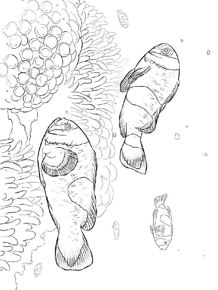 Розмальовка риба Клоун - Розмальовки Риби 