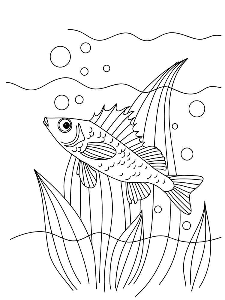 Розмальовки Йорш - Розмальовки Риби 