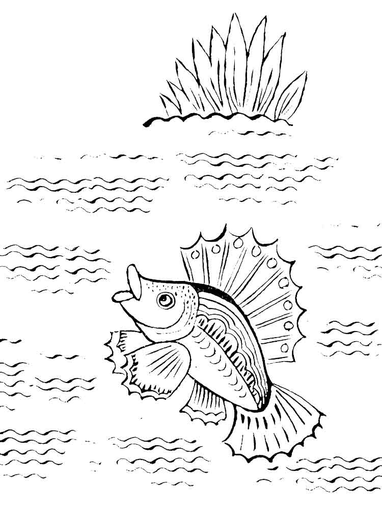 Розмальовки Йорш - Розмальовки Риби 