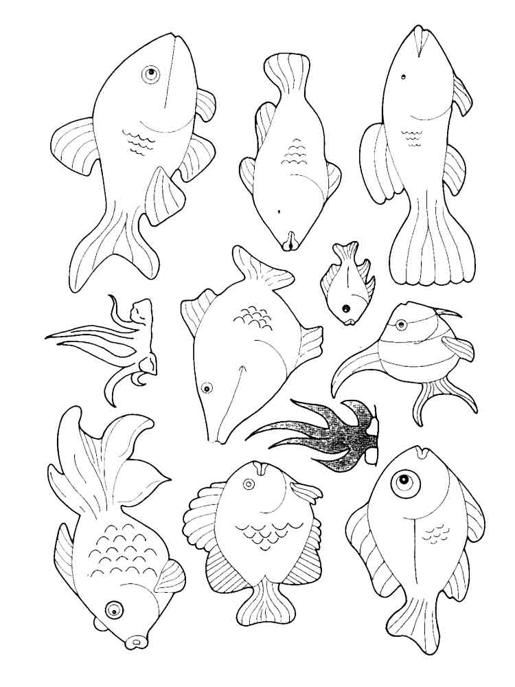 Розмальовки Морські риби - Розмальовки Риби 