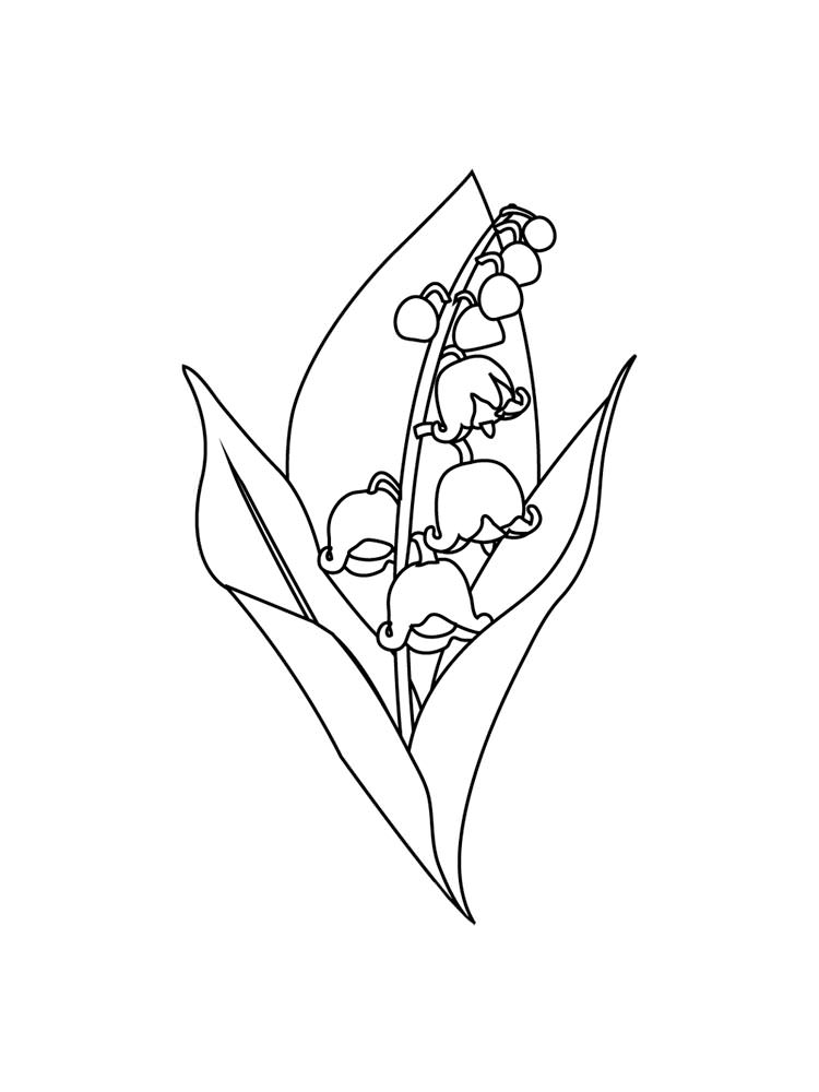 Розмальовка Конвалія - Розмальовки Квіти 