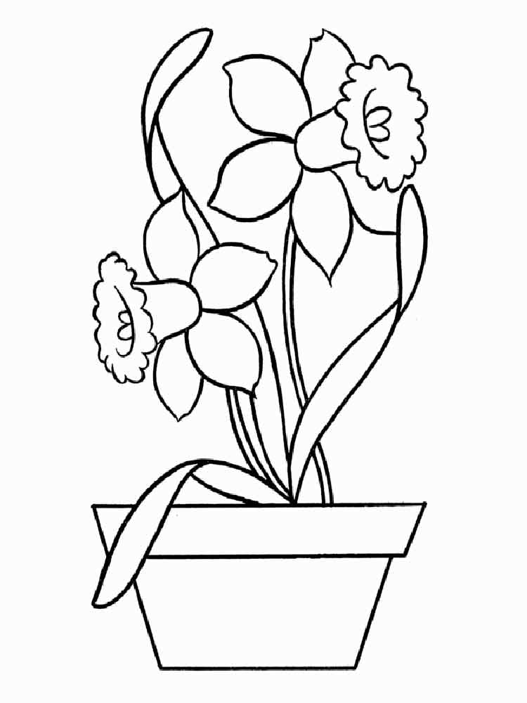 Розмальовка Нарцис - Розмальовки Квіти 