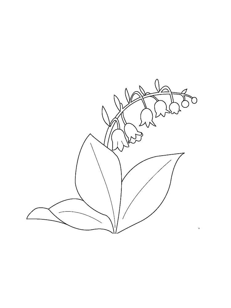 Розмальовки Польові квіти - Розмальовки Квіти 