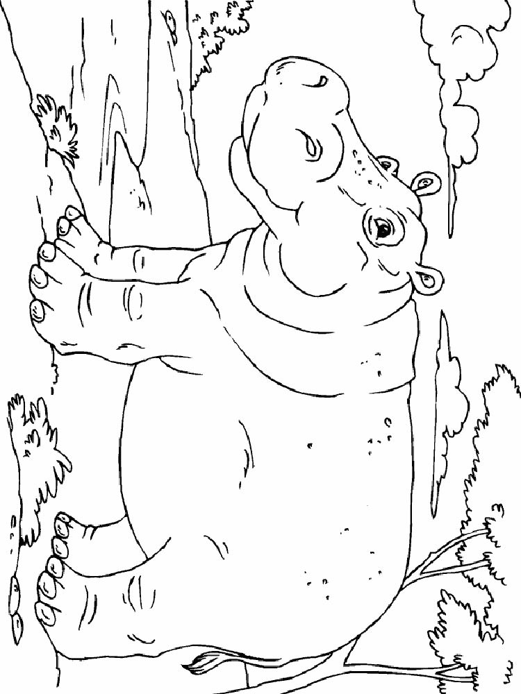 Розмальовка Бегемот - Розмальовки Тварин 