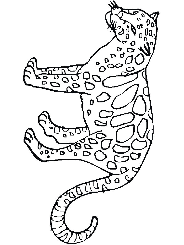 Розмальовка Леопард - Розмальовки Тварин 