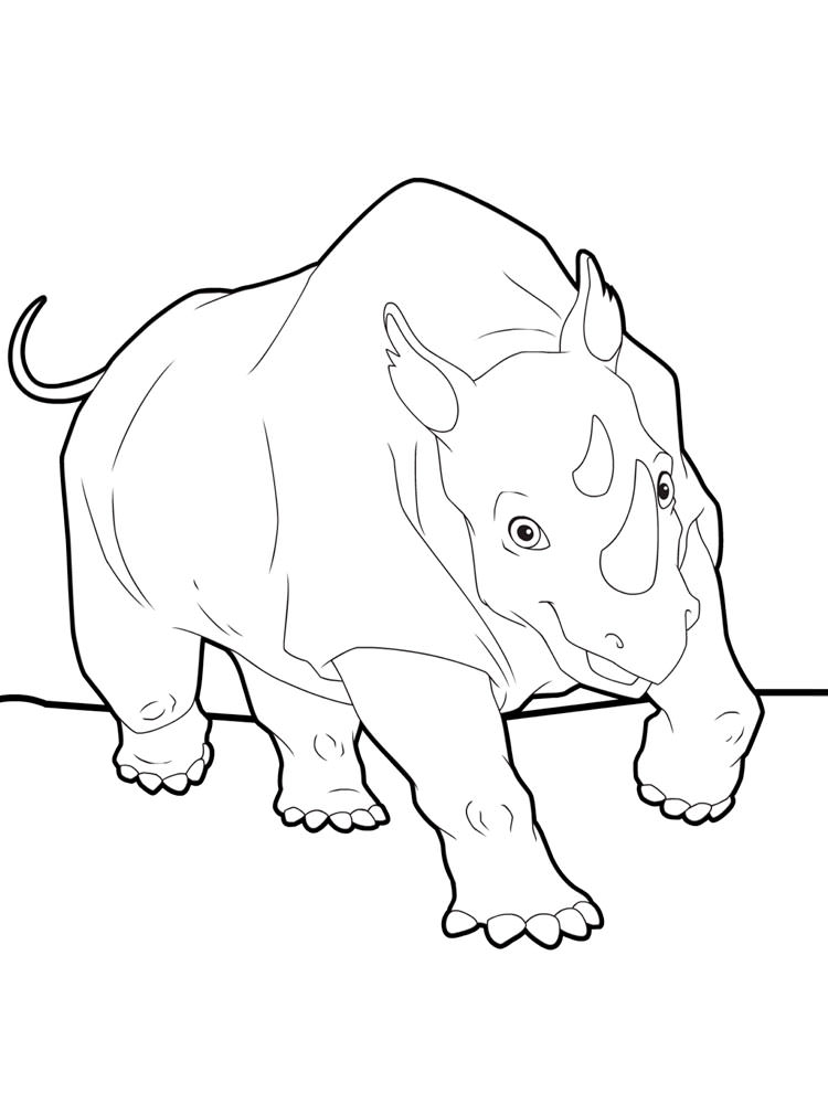 Розмальовка Носоріг - Розмальовки Тварин 