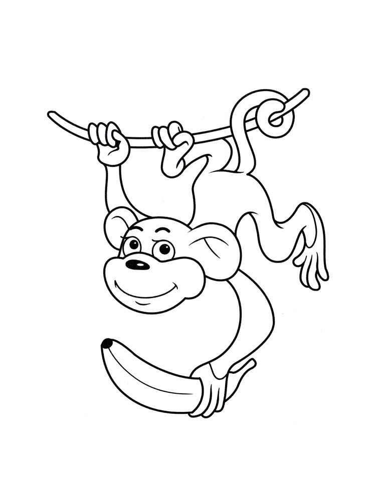 Розмальовка Мавпа - Розмальовки Тварин 