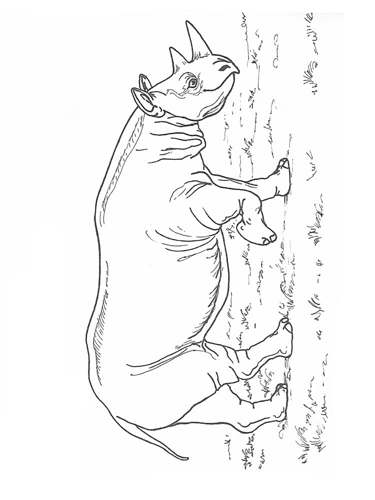 Розмальовка Носоріг - Розмальовки Тварин 