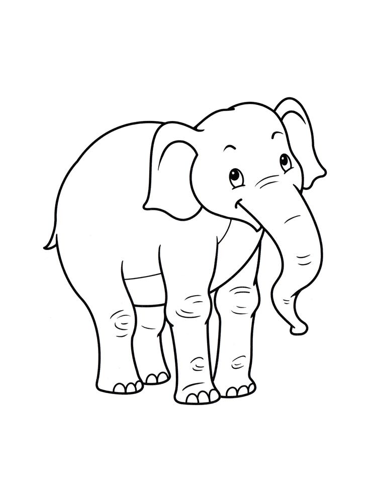 Розмальовки Слон - Розмальовки Тварин 