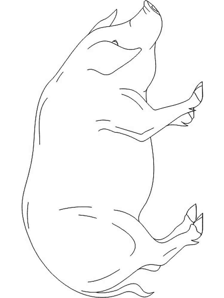 Розмальовки Свиня - Розмальовки Тварин 
