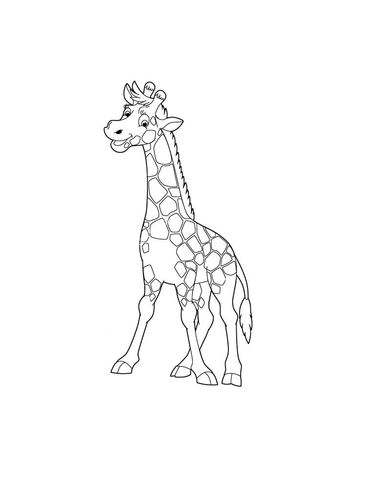 Розмальовка Жираф - Розмальовки Тварин 