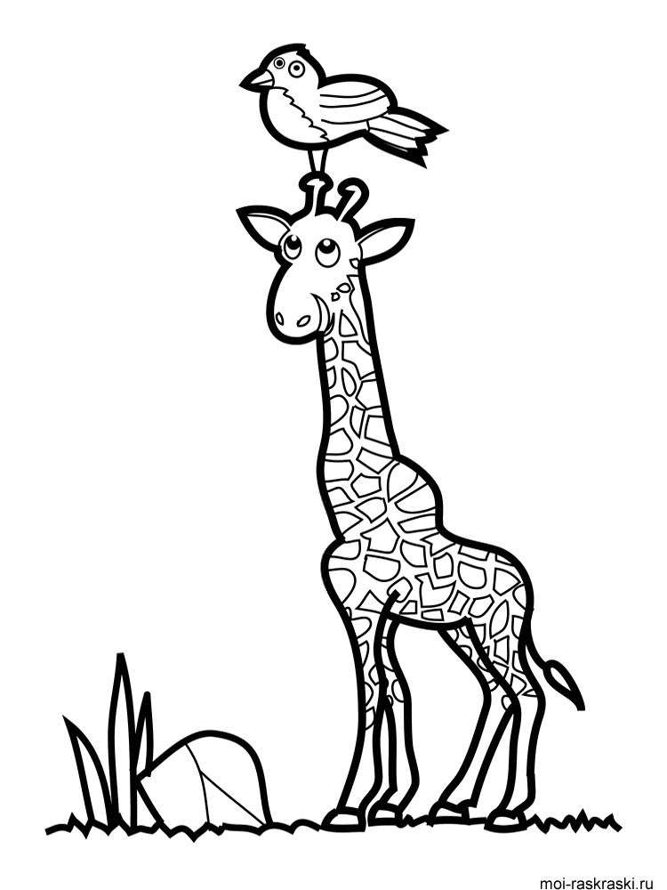 Розмальовка Жираф - Розмальовки Тварин 
