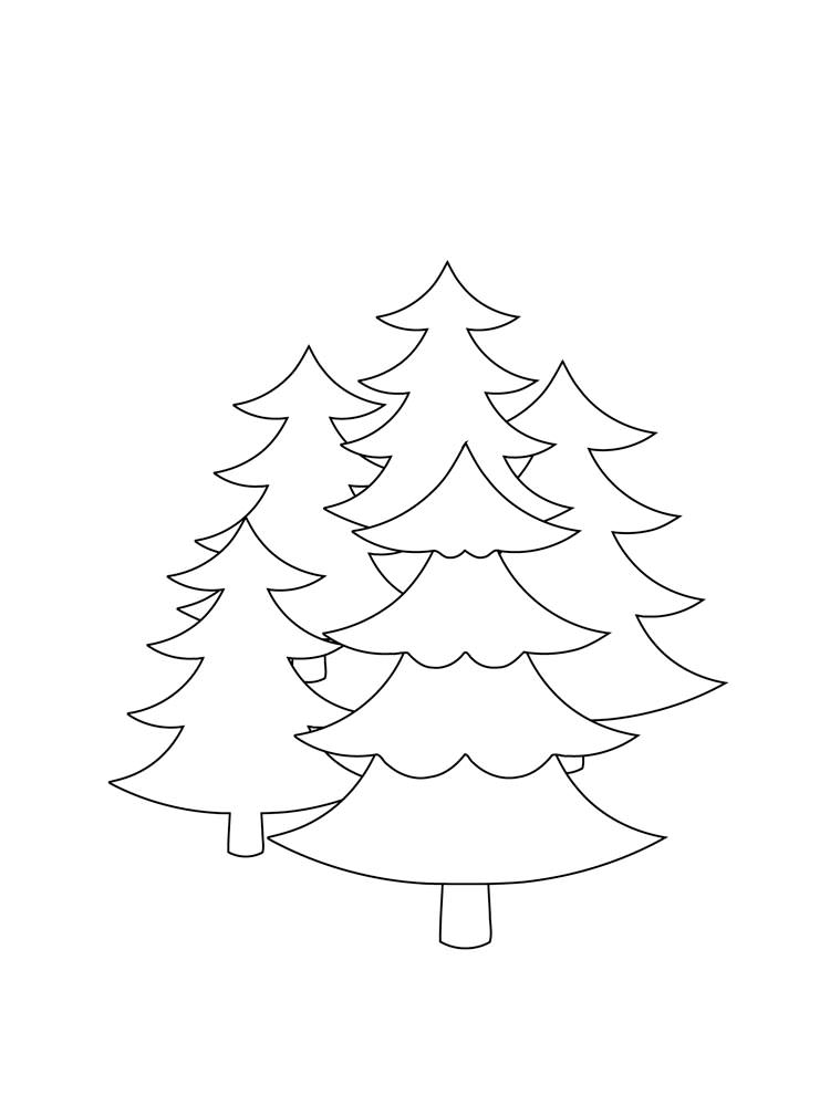 Розмальовка Ялина - Розмальовки Дерева 