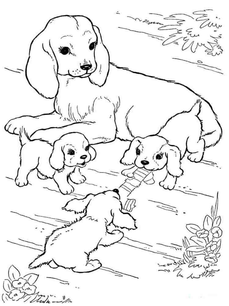 Розмальовки Собаки - Розмальовки Тварин 