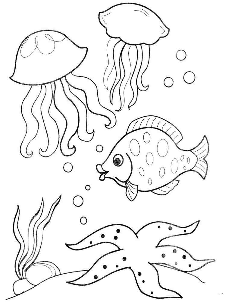 Розмальовки Підводний світ - Різні розмальовки 